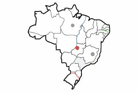 Brazil map on white backgroundのイラスト素材
