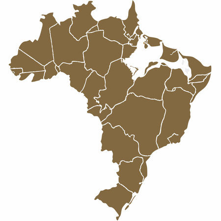 Minimalist Brazil map on white backgroundのイラスト素材