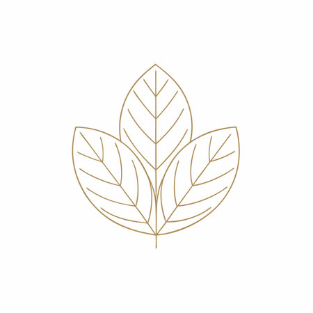 Leaf icon logo vector artのイラスト素材