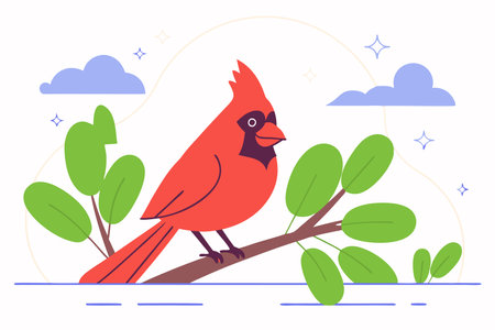 Hand drawn cardinal cartoon illustration vector on white backgroundのイラスト素材