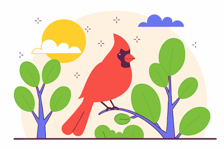 Hand drawn cardinal cartoon illustration vector on white backgroundのイラスト素材