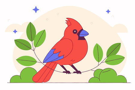 Hand drawn cardinal cartoon illustration vector on white backgroundのイラスト素材