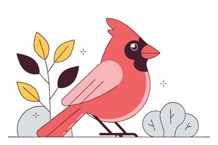 Hand drawn cardinal cartoon illustration vector on white backgroundのイラスト素材