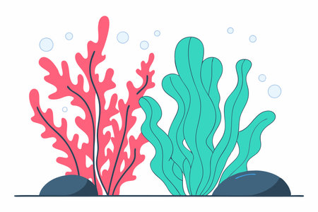 Seaweed plant illustration vector on white backgroundのイラスト素材