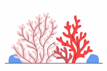 Seaweed plant illustration vector on white backgroundのイラスト素材