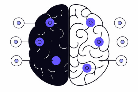 Brain sides concept illustration vector on white background