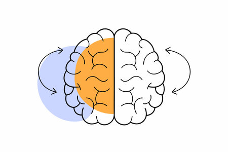 Brain sides concept illustration vector on white backgroundのイラスト素材