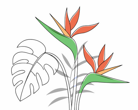 An exotic leaf plant jungle isolated icon illustrationのイラスト素材