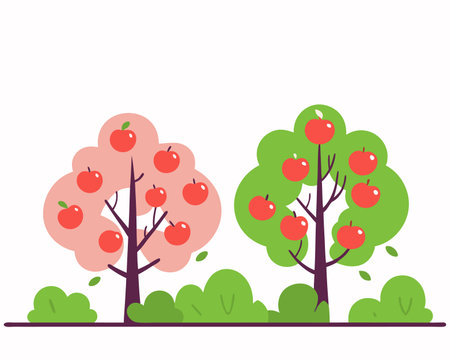 Apple plantation illustrationのイラスト素材