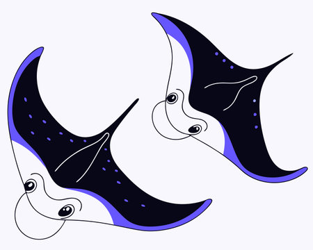 Cute Manta Rays Swimming Cartoon illustrationのイラスト素材