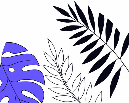 Monochromatic tropical leaves illustrationのイラスト素材