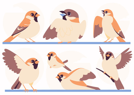 Set of sparrows in different poses isolated. Collection of sparrow birds' illustration vector on white backgroundのイラスト素材