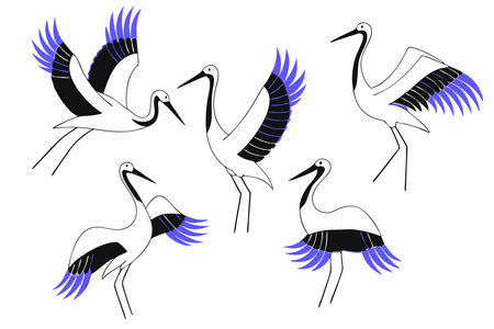 Standing and flying stork birds gray and white storks in different poses illustration vector on white backgroundのイラスト素材