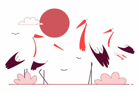 Standing and flying stork birds gray and white storks in different poses illustration vector on...