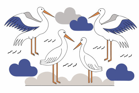 Standing and flying stork birds gray and white storks in different poses illustration vector on white backgroundのイラスト素材