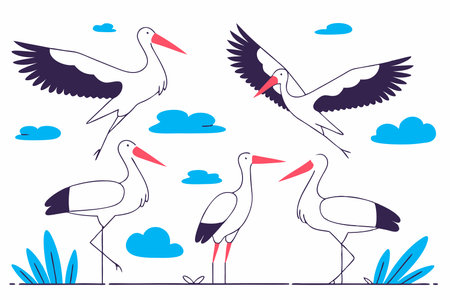 Standing and flying stork birds gray and white storks in different poses illustration vector on white backgroundのイラスト素材