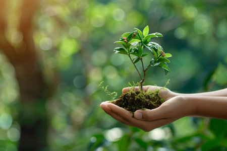 Hands holding small plant on blurred nature background, save earth concept