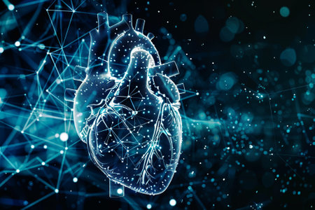 Human heart anatomy on blue background. 3d rendering toned imageの写真素材