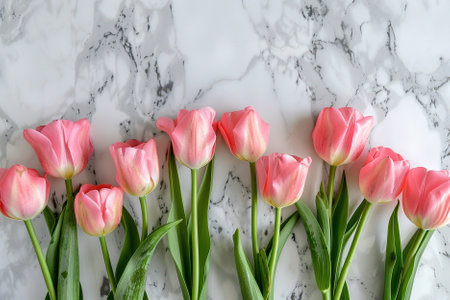 Pink tulips on white marble background. Flat lay, top viewの写真素材