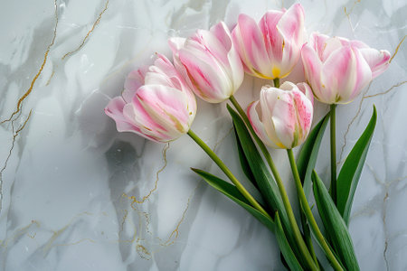 Pink tulipsle background with copy space. Top view.の写真素材