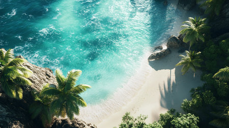 Tropical beach with palm trees and turquoise water, aerial viewの写真素材