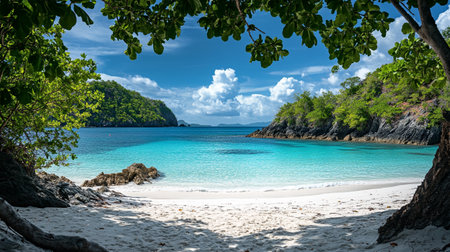 Tropical beach at Seychelles, Praslinの写真素材