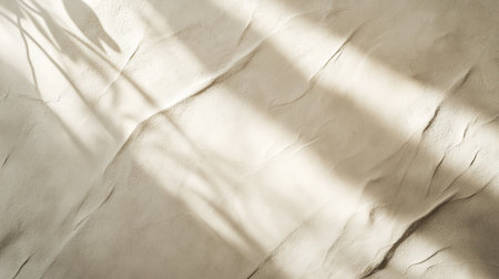 Shadow of palm leaf on a white wall. Natural light and shadows.の写真素材