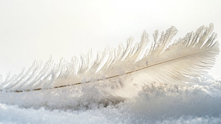 Frosted bird feather on white snow. Winter background. Copy space.の写真素材