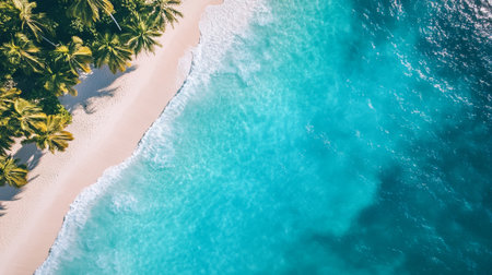 Aerial view of beautiful tropical beach and sea with coconut palm treeの写真素材