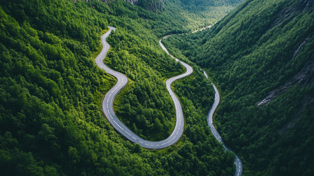 Aerial view of winding mountain road in green forest. Top view