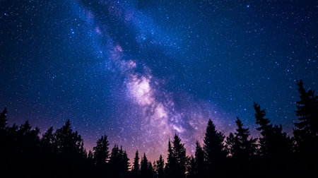 Milky Way in the night sky with stars and silhouette of trees
