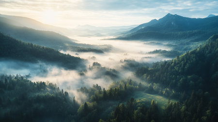Foggy morning in the Carpathian mountains. Ukraine, Europe.の写真素材