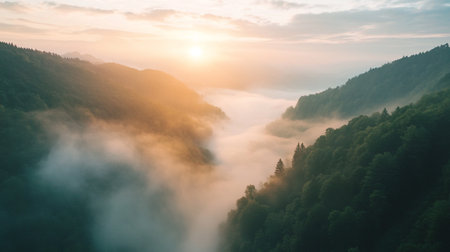 Aerial view of foggy forest at sunrise in the mountains.の写真素材