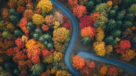 Aerial view of road in autumn forest with colorful trees. Top view.