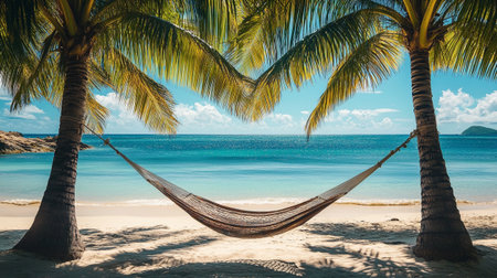 Hammock on a tropical beach with palm trees and blue skyの写真素材