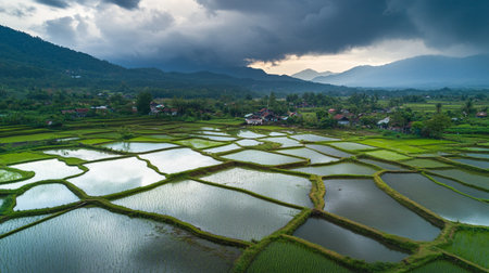 Aerial view of rice terraces in a rural valley, showcasing the beauty of agricultural landscapes and...