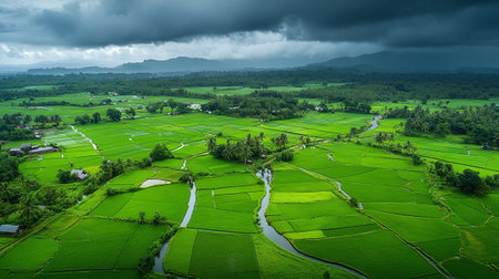 Rice fields in Bali, Indonesia.
