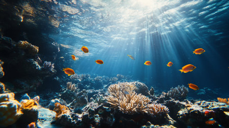 Underwater view of coral reef with tropical fish and sunlight. Underwater world.