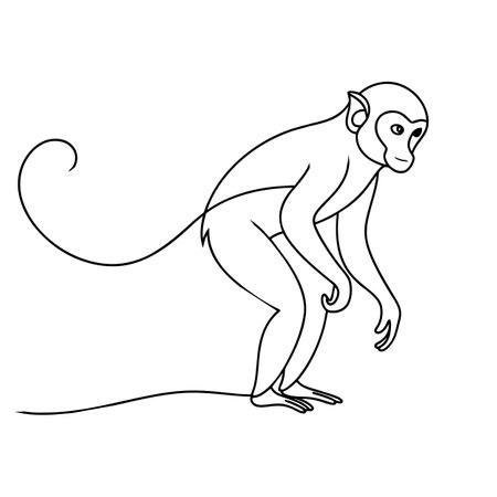 Continuous line drawing of monkey on white background. Vector illustration.のイラスト素材