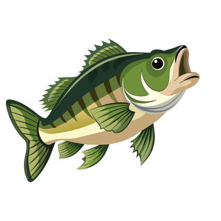 Perch fish isolated on white background. Vector illustration in cartoon style.のイラスト素材