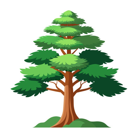 Pine tree isolated on white background. Vector illustration.のイラスト素材