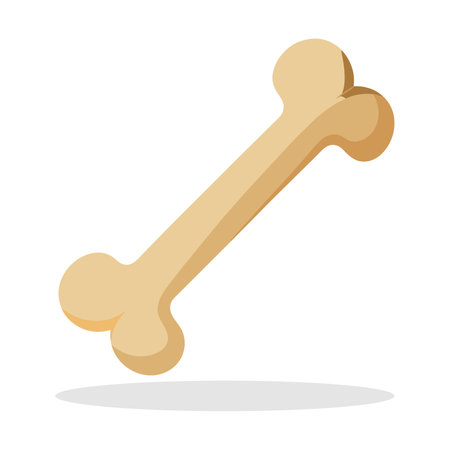 bone icon on white background. Flat design. Vector Illustration.のイラスト素材