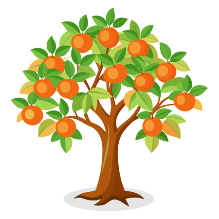 Orange tree isolated on white background. Vector illustration. Eps 10.のイラスト素材
