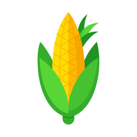 Corn icon, flat style. Corn vector illustration on a white background.のイラスト素材