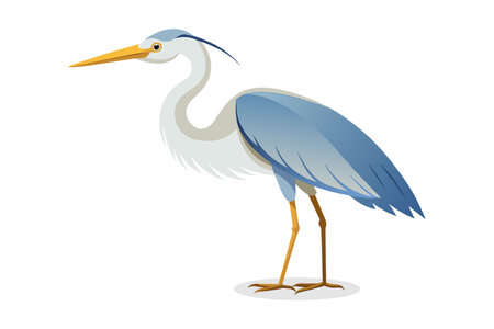 Blue heron isolated on white background. Vector illustration in flat style.のイラスト素材