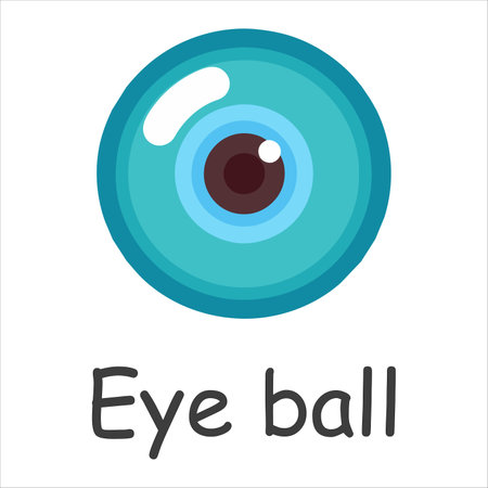 Eye ball, body parts of humのイラスト素材