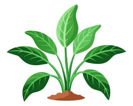 Green plant icon. Cartoon illustration of green plant vector icon for webのイラスト素材