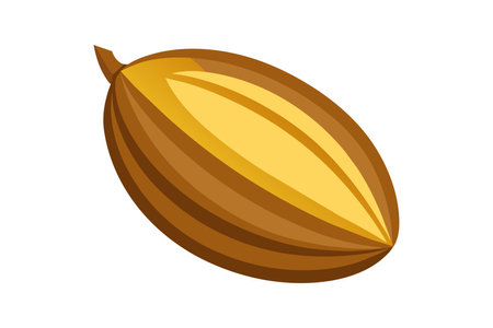 Isolated peanut on a white background, Vector illustration of a peanutのイラスト素材