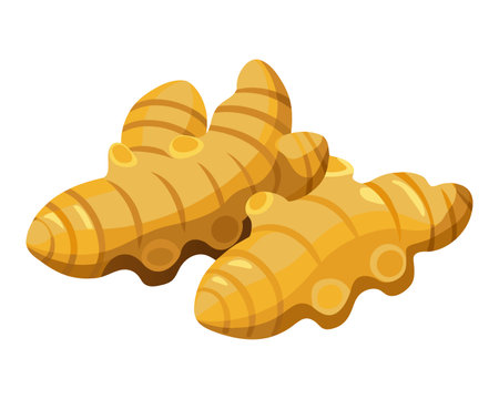 Ginger icon. Isometric of ginger vector icon for web design isolated on white backgroundのイラスト素材