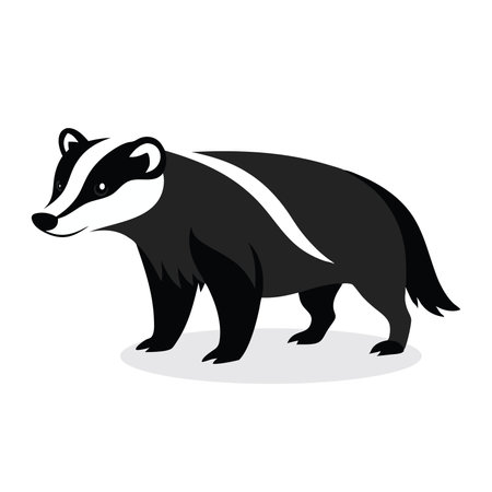 Badger Animal isolated flat vector illustration on white backgroundのイラスト素材